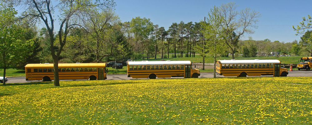 3-school-buses